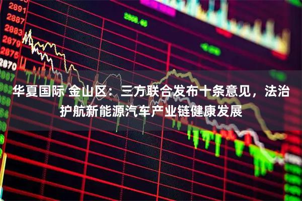 华夏国际 金山区：三方联合发布十条意见，法治护航新能源汽车产业链健康发展