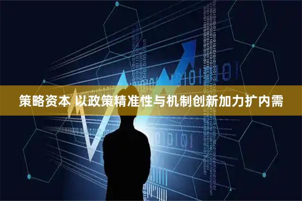 策略资本 以政策精准性与机制创新加力扩内需
