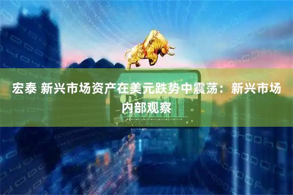 宏泰 新兴市场资产在美元跌势中震荡：新兴市场内部观察